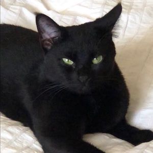 Meet your Posher, Michele